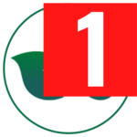 sciatiease-adq.pages.dev favicon